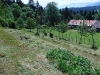 Neue Beete entstehen auch im oberen Teil durch „Kartoffelumbruch“ mit Mulchen mit Grasschnitt