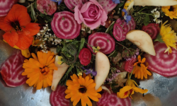 Aktuelle Kurse 2025 im Allgäu