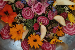 Aktuelle Kurse 2025 im Allgäu